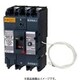 BBWN3601 [盤用 単3中性線欠相保護付 サーキットブレーカ BBWN型 BBWN-100型 3P3E 60A 1個]