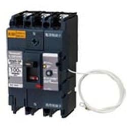 BBWN3100 [盤用 単3中性線欠相保護付 サーキットブレーカ BBWN型 BBWN-100型 3P3E 100A 1個]
