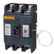 BBWN3250 [盤用 単3中性線欠相保護付 サーキットブレーカ BBWN型 BBWN-250型 3P3E 250A 1個]
