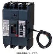 BBWZ3601 [盤用 漏電警報付ブレーカ BBWZ型 BBWZ-100型 3P3E 60A 1個]