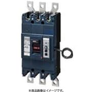 BBWZ3300 [盤用 漏電警報付ブレーカ BBWZ型 BBWZ-400型 3P3E 300A 1個]