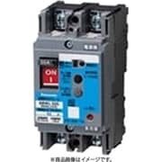 BBWL2301S [盤用 漏電表示付ブレーカ BBWL型 BBWL-50S型 2P2E 30A 1個]