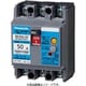 BKWA24041 [盤用 漏電ブレーカ BKWA型 BKWA-60型 2P2E 40A 100mA 1個]