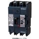 BKWA36031 [盤用 漏電ブレーカ BKWA型 BKWA-100型 3P3E 60A 30mA 1個]