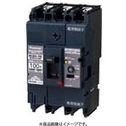 BKWA36031 [盤用 漏電ブレーカ BKWA型 BKWA-100型 3P3E 60A 30mA 1個]