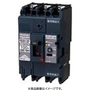 BKWA3753 [盤用 漏電ブレーカ BKWA型 BKWA-100型 3P3E 75A 30mA 1個]