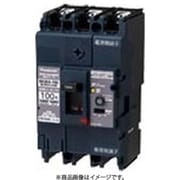 BKWA36091 [盤用 漏電ブレーカ BKWA型 BKWA-100型 3P3E 60A 100/200/500mA 1個]