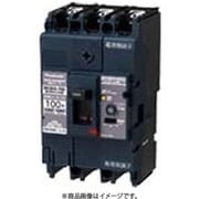 BKWA3759 [盤用 漏電ブレーカ BKWA型 BKWA-100型 3P3E 75A 100/200/500mA 1個]