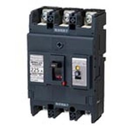 BKWA32259 [盤用 漏電ブレーカ BKWA型 BKWA-225型 3P3E 225A 100/200/500mA 1個]