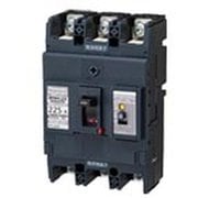 BKWA32259 [盤用 漏電ブレーカ BKWA型 BKWA-225型 3P3E 225A 100/200/500mA 1個]