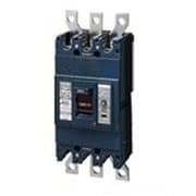 BKWA33009 [盤用 漏電ブレーカ BKWA型 BKWA-400型 3P3E 300A 100/200/500mA 1個]