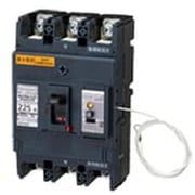 BKWN32259 [盤用 単3中性線欠相保護付 漏電ブレーカ BKWN型 BKWN-225型 3P3E 225A 100/200/500mA 1個]