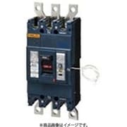 BKWN33009 [盤用 単3中性線欠相保護付 漏電ブレーカ BKWN型 BKWN-400型 3P3E 300A 100/200/500mA 1個]