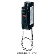 BKF2201CT [カンタッチCT内蔵ブレーカ BKF-50CT型 2P1E 20A 1個]