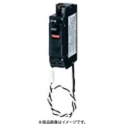 BKF2152CT [カンタッチCT内蔵ブレーカ BKF-50CT型 2P2E 15A 1個]