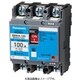 BBWA2303CC [盤用 サーキットブレーカ BBWA型（端子カバー付） BBWA-100C型 2P2E 30A 小形端子カバー付 1個]