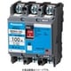 BBWA2601CC [盤用 サーキットブレーカ BBWA型（端子カバー付） BBWA-100C型 2P2E 60A 小形端子カバー付 1個]