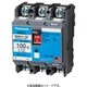 BBWA3601CC [盤用 サーキットブレーカ BBWA型（端子カバー付） BBWA-100C型 3P3E 60A 小形端子カバー付 1個]