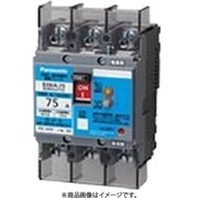 BJWA240317 [住宅盤用 漏電ブレーカ 蓄熱主幹用 BJWA-75型 2P 40A 30mA 1個]