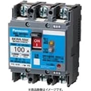 BKWA21009CC [盤用 漏電ブレーカ BKWA型（端子カバー付） BKWA-100C型 2P2E 100A 100/200/500mA 小形端子カバー付 1個]