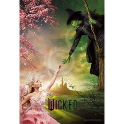 美品 レジェンド オブ バサラ VHS 14巻セット ポスター13枚
