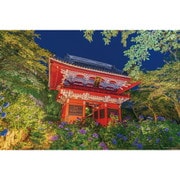 10-1484 日本風景 夜の紫陽花と雨引観音仁王門（茨城） [ジグソーパズル 1000ピース]