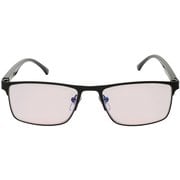 老眼鏡 メタルフレーム 度数2.5 RG-P01-25