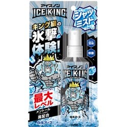 アイスノン シャツミスト ICEKING 100mL 衣類用 クール 携帯用 強冷感 ストロング 汗のニオイ消臭 暑さ対策