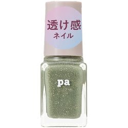 pa ネイルカラー プレミアム E017