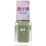 pa ネイルカラー プレミアム E017
