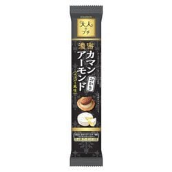 大人のプチ 濃厚カマンアーモンドおかき 10個