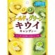 ゴールド＆グリーンキウイキャンディー 71g
