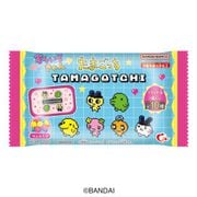 すらいどきゃんたまごっち 6g