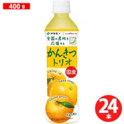 ニッポンエール 国産 かんきつトリオ 400g×24本