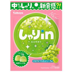 食品 しゃりinグミ マスカットソーダ 52g