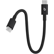 USB-C - USB-C 編み込み式充電ショートケーブル 20cm ボルトブラック MEQ94PA/A