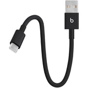 USB-A - USB-C 編み込み式充電ショートケーブル 20cm ボルトブラック MEQL4PA/A