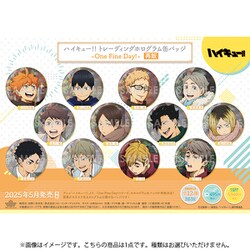 ヨドバシ.com - ソル・インターナショナル ハイキュー