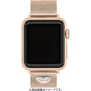 Apple Watch 38mm/40mm/41mm用 バンド PGメッシュベルト 14700240