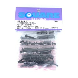 SSA-42 タミヤ スーパーアスチュート用 スチールヘックスビスセット [ラジコン用パーツ]