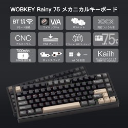 #37 Rainy75 Pro(KAILHココアスイッチ) Luna Amazon.com: KEEBMONKEY WOBKEY Rainy 75 CNC Aluminum HMX/JWK