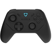 GRAPHT Omni Black ホールエフェクトスティック搭載 有線・無線ポーリングレート 1,000Hz対応 軽量ゲームパッド GRT059-BLK-ONE
