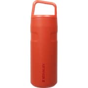 エアロライト真空ボトル 0.47L ホットコーラル 11217-239