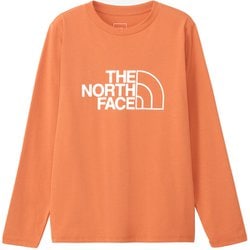 早い者勝ち!!! THE NORTH FACE ◆ L/S ES ビッグロゴティー THE NORTH FACE ノースフェイス Tシャツ ショートスリーブ