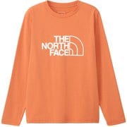 ロングスリーブ ES ビッグロゴティー レディース カットソー フェイドアイアンブロンズ(FB) Lサイズ NTW32580