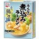 煮込みラーメン 鶏うま塩味 2人前×2回分