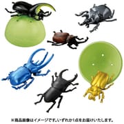 アニアのたまご 昆虫コレクション 1個 [コレクショントイ]