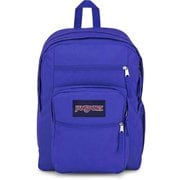 JS0A47JK_GM6 [BIG STUDENT ビッグスチューデント パーティープラム]