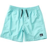 EVERYDAY SOLID VL YTH 14 キッズ サーフパンツ BGH0 140サイズ EQBJV03517