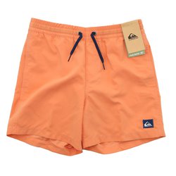 【最安】QUIKSILVER キッズ用ウェア ビブパンツ 140サイズ 新品 スノーボード ウェア パンツ キッズ QS クイックシルバー MASH